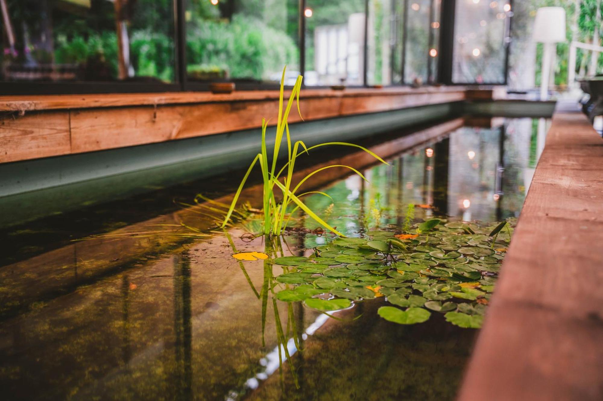 Hotel Utopia - Art & Nature